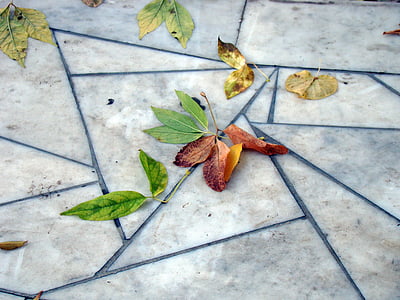葉, 秋, 舗装, 大理石スラブ, パターン