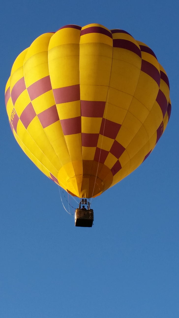 baloni, karstā gaisa baloni, debesis, lidojumu, grozs, muša, lido