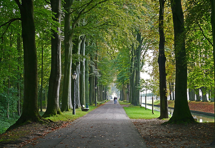 Slottsparken, norr kyrkor, vallgrav, vallgrav, historiskt sett, Münsterland, anlagd trädgård