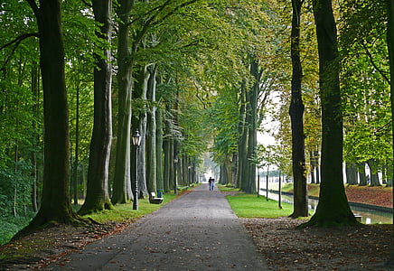 grajski park, severno cerkve, moated grad, jarek, zgodovinsko, münsterland, urejen vrt