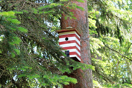 birdhouse, box, nest, bird, forest, gran, pir