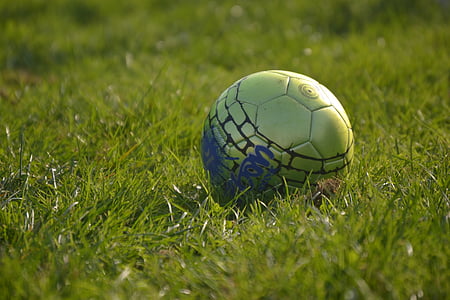 ฟุตบอล, ลูกบอล, หญ้า, กีฬา, วิ่ง, เล่น, ฟุตบอล