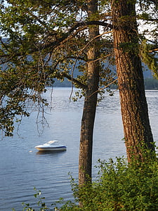 Canim, Lac, Colombie-Britannique, Canada, paysage, paysage, ensoleillée