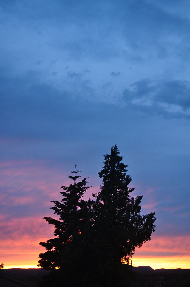 taevas, Sunset, puu, pilve, Sunset taevas, Dusk