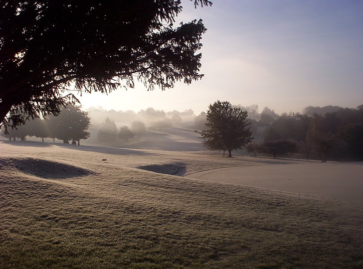 koude, bevroren, landschap, Golfbaan, Purley downs, Park, mist