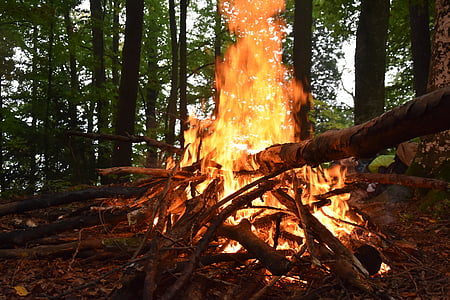 fire, wood, forest, firewood stack, flame, adventure, campfire