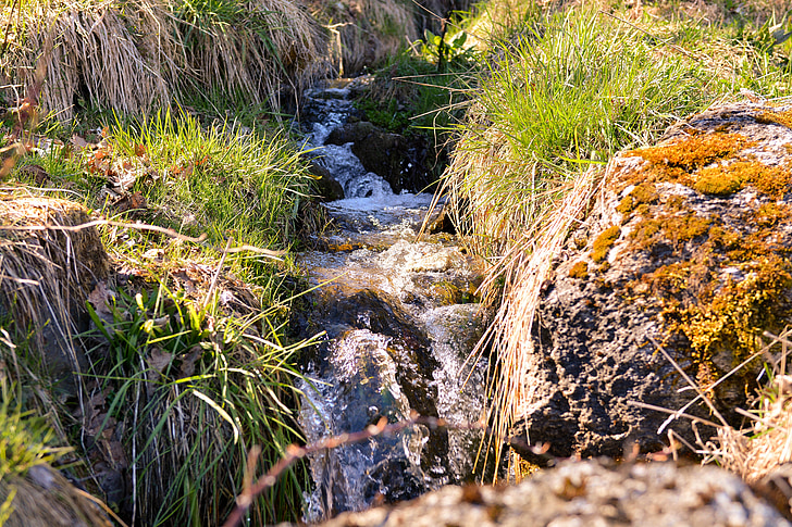 bach, natural stream, wiesenbach, water, running water, nature, landscape