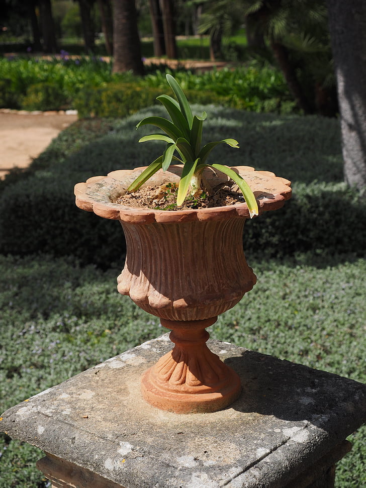 vaso, vaso di fiori, decorazione antica, oggetto d'antiquariato, balcone, pianta, natura