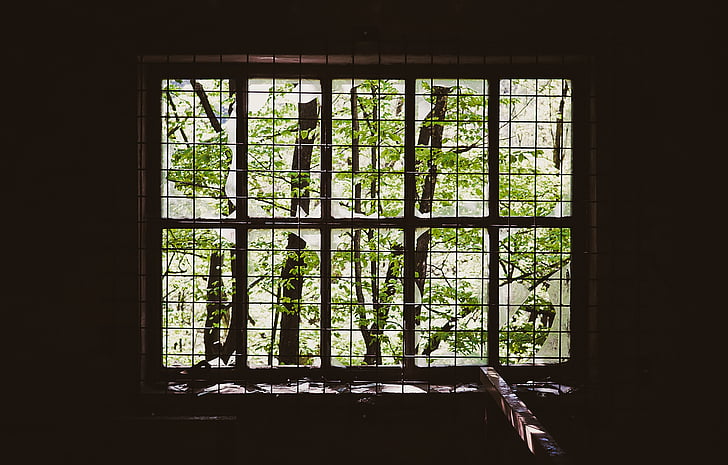 rotto, in gabbia, griglia, interno, alberi, finestra, Immagini Royalty