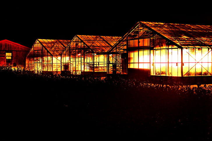 dark, night, yellow, farmhouse, glass, greenhouse, agriculture