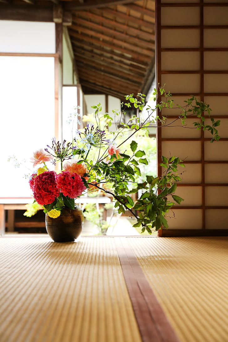 Japonsko kultura, buddhistický chrám, aranžování květin, Genko-an, dřevo - materiál, okno, uvnitř