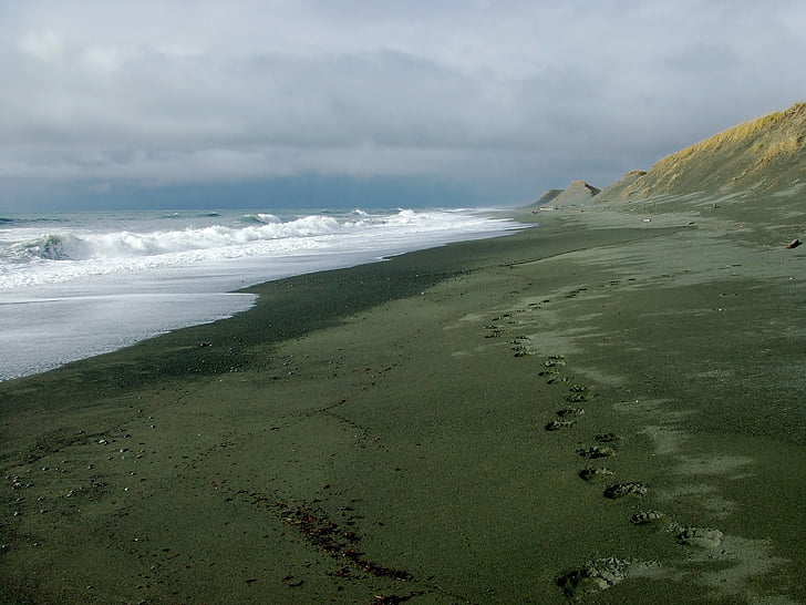 littoral, Alaska, Côte, pistes d’ours, empreintes de pas, plage
