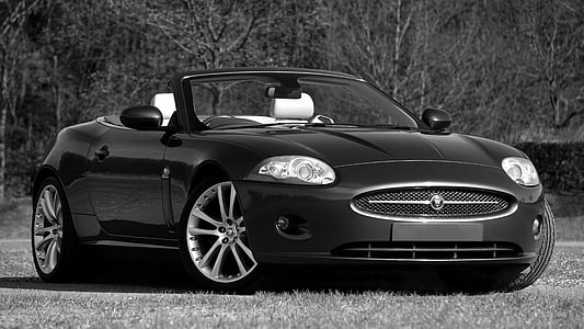 black white, car, convertible, fast, leather, speed, wheel