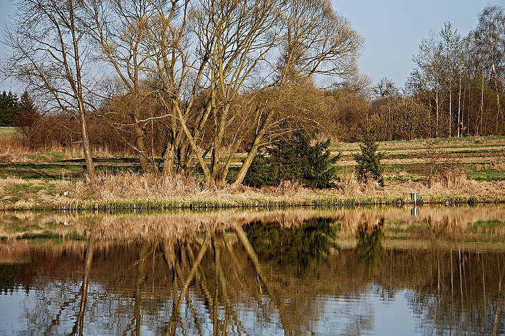 pond, surface, reflection, trees, edge of the pond, ledenice, mlejňák
