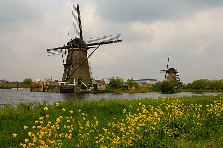 เนเธอร์แลนด์, ธรรมชาติ, ฮอลิเดย์, ภูมิทัศน์, ดอกไม้, โรงงาน