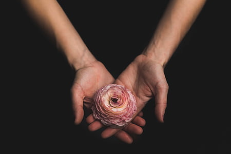mekar, Blossom, Flora, bunga, tangan, tangan manusia, alam