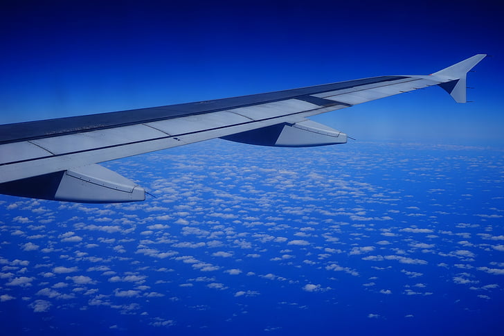 비행, 항공기, 날개, 스카이, 구름, 블루