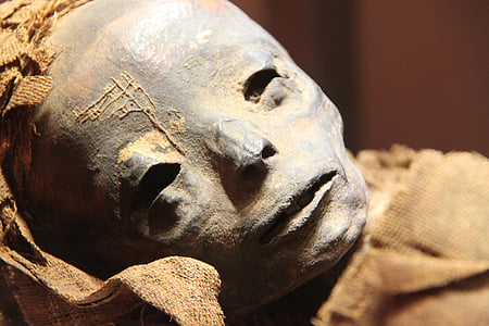 múmie, múzeum, Egyptský, Egypt, Staroveké, Archeológia, artefakt