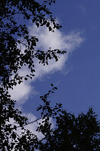 taivas, pilvi, sininen, siluetti, kirkas, kontrasti