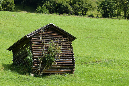 hut, barn, heustadel, askew, mountain meadow, scale, log cabin