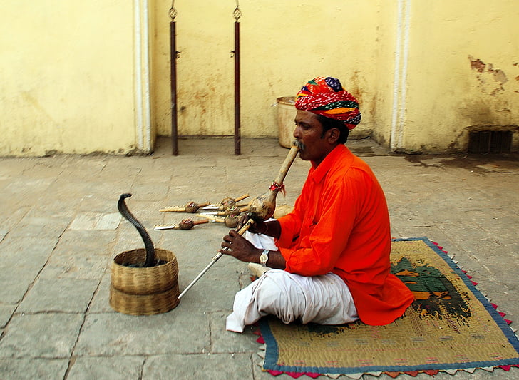 India, Jaipur, Snake charmer, kulturer, folk, indisk etnisitet, innfødt kultur