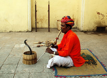 India, Jaipur, pawang ular, budaya, orang-orang, Etnis India, budaya asli