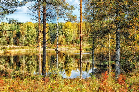 Финляндия, HDR, пруд, озеро, воды, размышления, лес