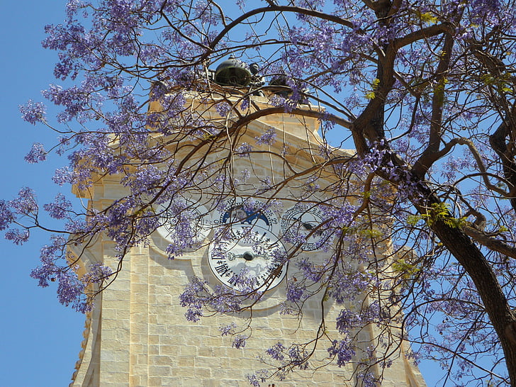 grand master's palace, tower, clock, clock tower, blossom, sky, tree