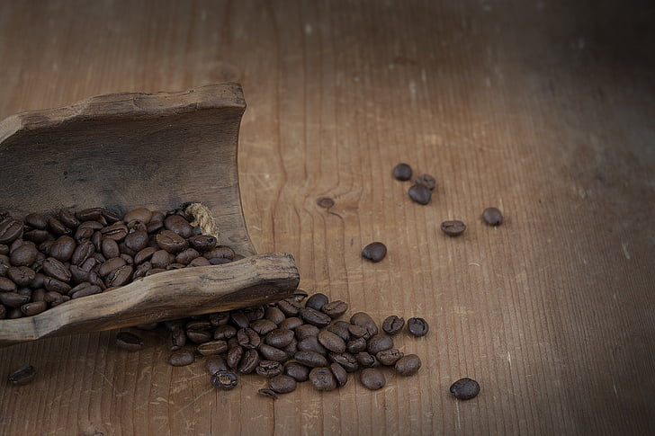 káva, kávová zrna, přírodní produkt, pražené, hnědá, tmavý, kofein