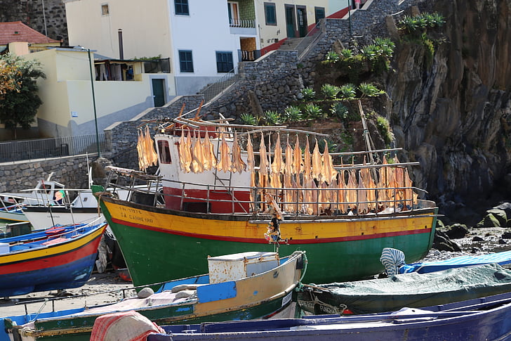 Madeira, båd, fiskeri, tørring, nautiske fartøj, havet, Harbor