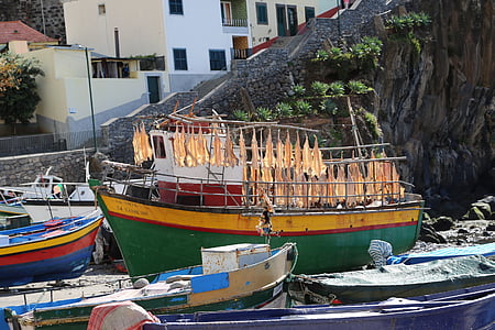 Madeira, barca, pesca, essiccazione, mezzo di trasporto marittimo, mare, Porto