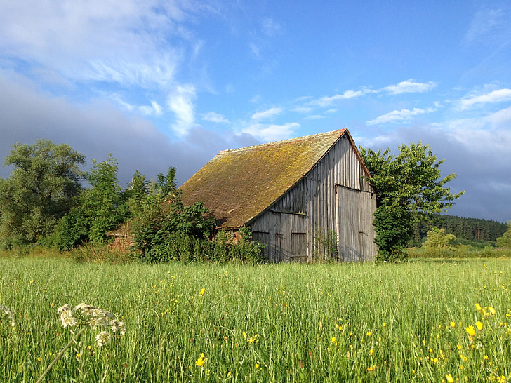 stodola, pole stodola, letné, lúka, oblaky, drevo, Moss