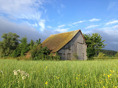 barn, field barn, summer, meadow, clouds, wood, moss