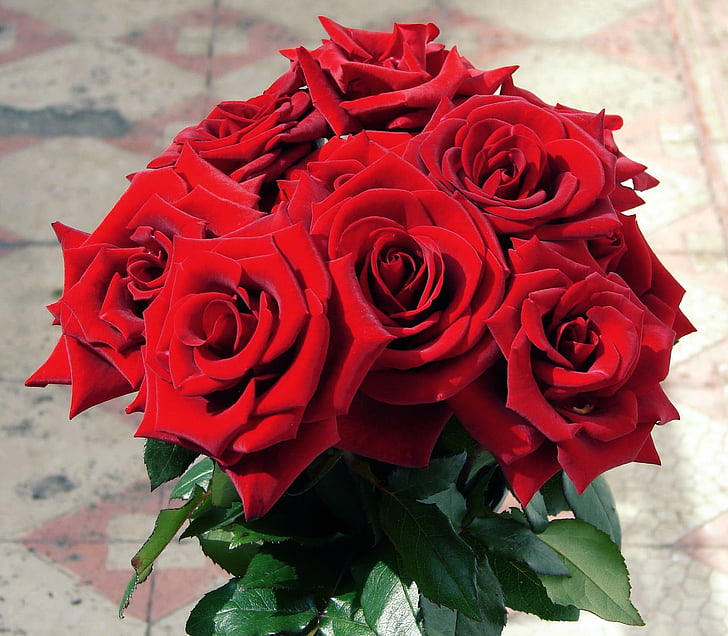 buket blomster, røde roser, farverige, blomstermotiver, Romance, Valentine, flora