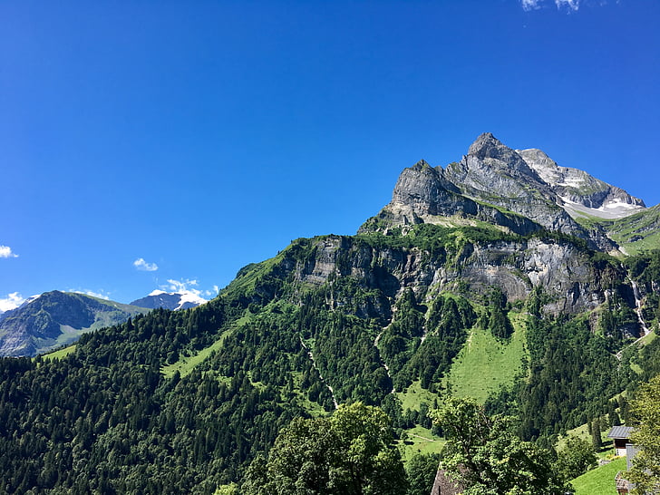 montanha, paisagem, Glarus, Verão, natureza, humor, Alpina