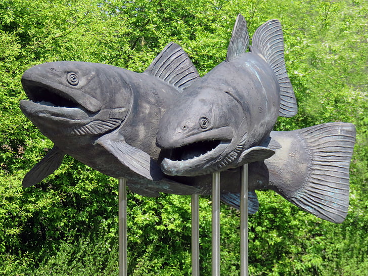 carpe, poisson, sculpture, art, monument, sculpteur, animal