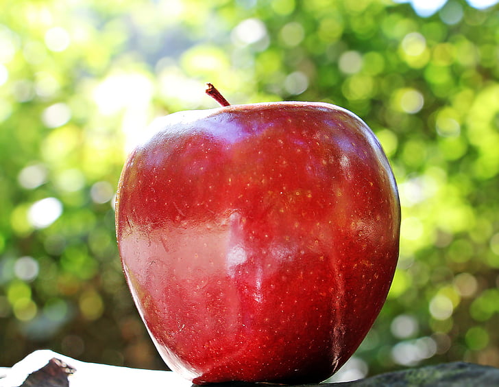 Apple, rødt apple, rød chef, rød, frugt, Frisch, vitaminer