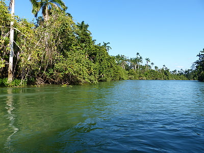 Belize, Fluss, Regenwald, Dschungel, Boot, Natur, tropische