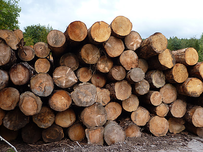 Logboeken, Pine, hout, hout, Sägmühle, boomstam