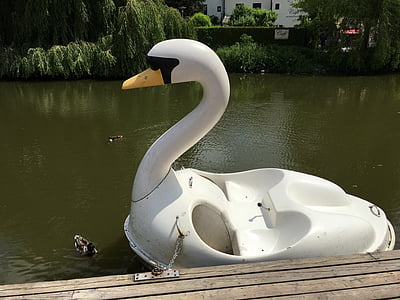 swan, boot, rowing boat, river, altmühl, eichstätt, water