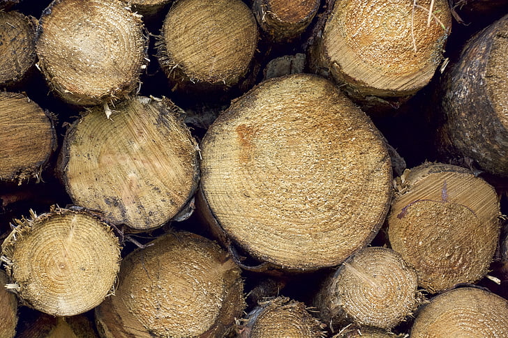 wood, logs, pile, timber, outdoors, natural, cut