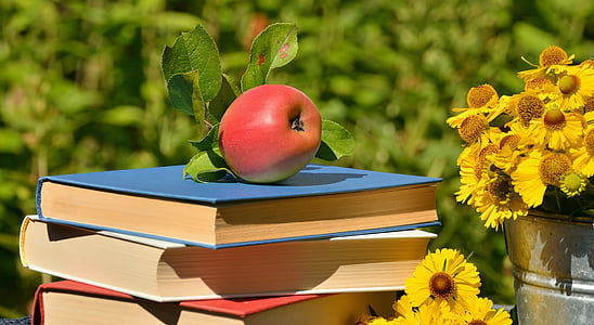 apple, books, garden, read, browse, relax, out