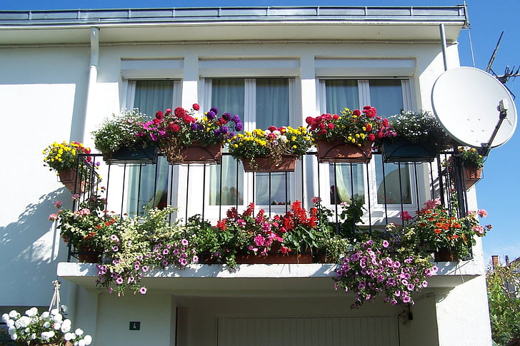 balkon, blomst, sommerblomster, bygningens ydre, udendørs, plante, arkitektur