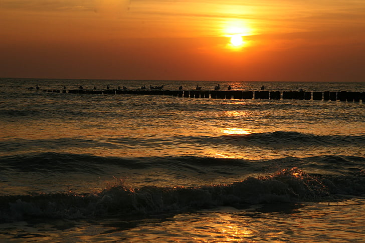 sunset, beach, silhouette, evening, romantic, sundown, sea
