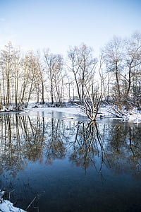 vinter, spegling, träd, vatten, snö, naturen, dammen