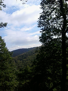 bois, vallée de, montagne, Visegrád, Sky