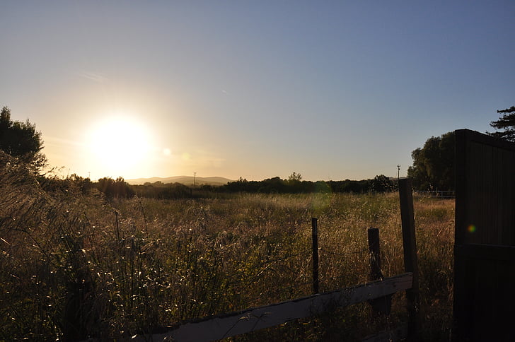 nature, coucher de soleil, à l’extérieur, paysage, Sunshine, scène rurale, clôture