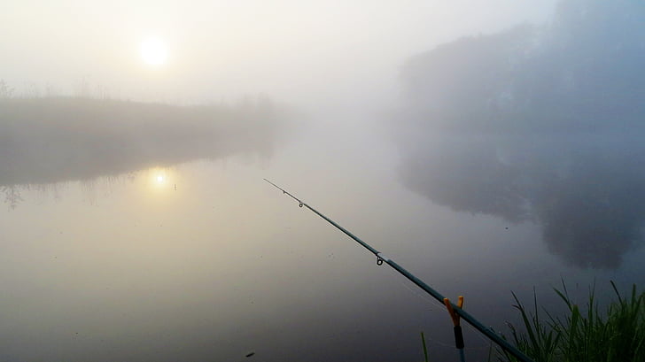 fish, fishing rod, river, landscape, lake, angler, sunrise