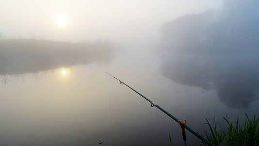 魚, 釣り竿, 川, 風景, 湖, 釣り人, 日の出