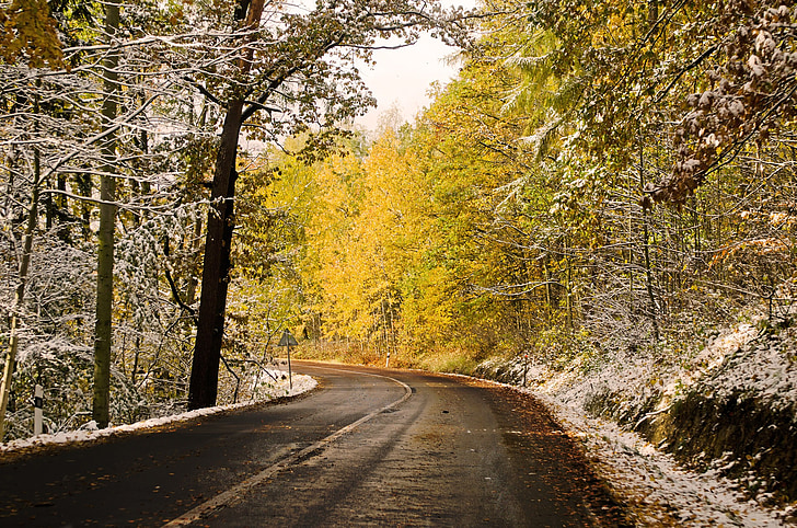 zimsko sezono, cesti, potovanje, sneg, krajine, potovanje, počitnice